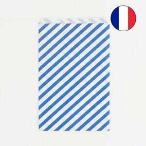 paper bags - blue stripes