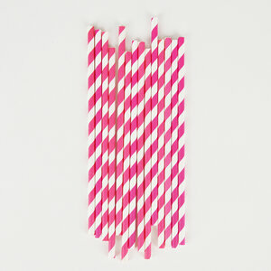 paper straws - bright pink stripes